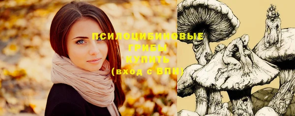 каннабис Богданович